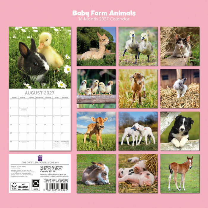 Calendrier Mural 2027 B�b�s Animaux de la Ferme