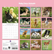 Calendrier Mural 2027 B�b�s Animaux de la Ferme