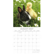 Calendrier Mural 2027 B�b�s Animaux de la Ferme
