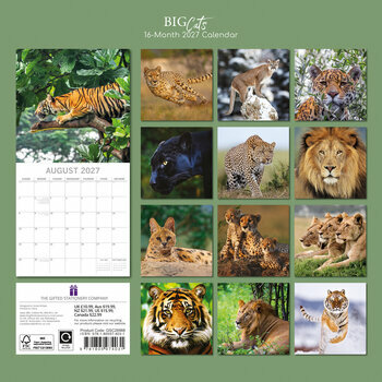 Calendrier 2027 Grands F&eacute;lins Panth&egrave;re Lion Tigre