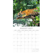 Calendrier Mural 2027 Grands F�lins  Tigre