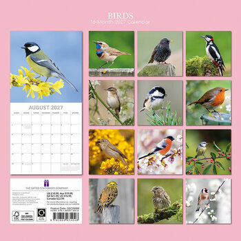 Calendrier 2027 Oiseaux Communs Jardins