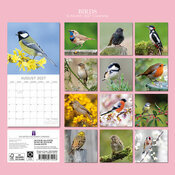 Calendrier 2027 Oiseaux Communs Jardins