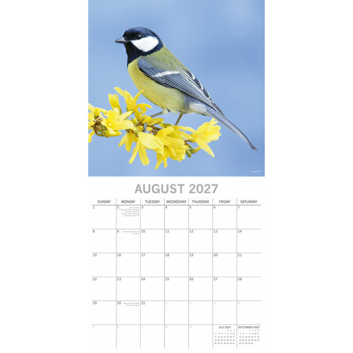 Calendrier Mural 2027 Oiseaux  Jardins