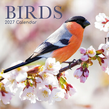 Calendrier 2027 Oiseaux Communs Jardins