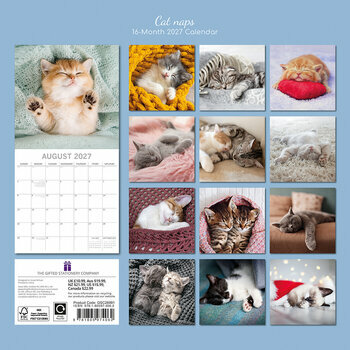 Calendrier 2027 Chats Endormis Sieste
