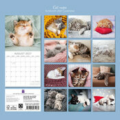 Calendrier papier 2027 Chats Endormis Sieste