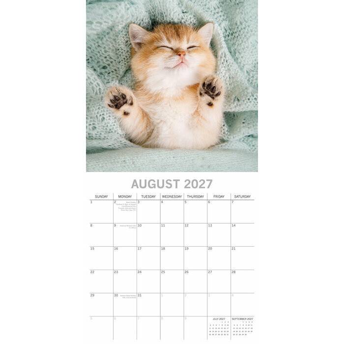 Calendrier Mural 2027 Chats  Sieste