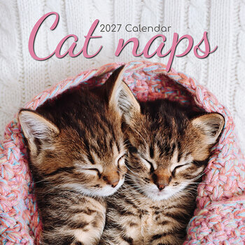 Calendrier 2027 Chats Endormis Sieste
