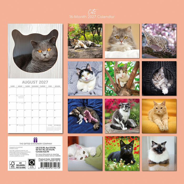 Calendrier mural 2027 Chats de Race Bengal