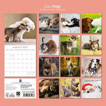 Calendrier 2027 Chats et Chiens Dr&ocirc;les
