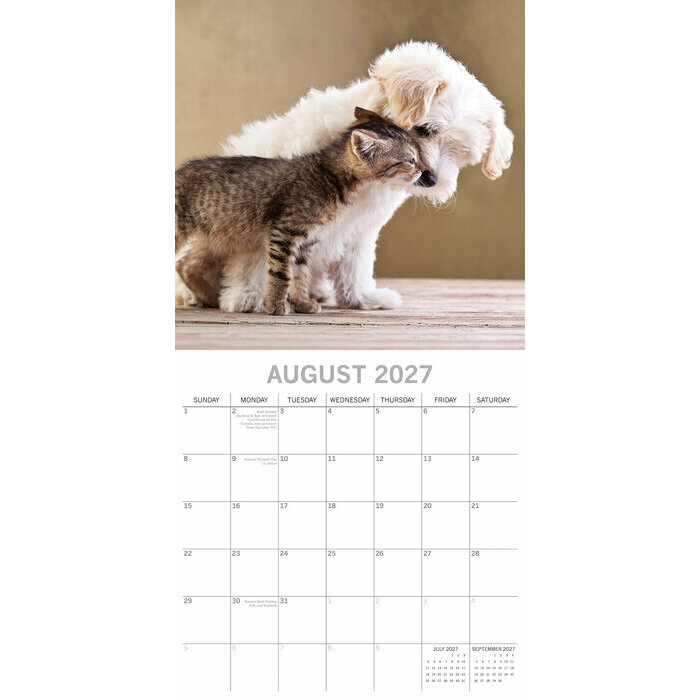 Calendrier Mural 2027 Chats et Chiens 