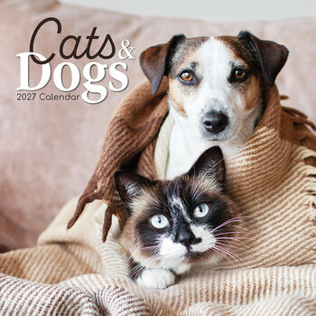 Calendrier 2027 Chats et Chiens Dr&ocirc;les