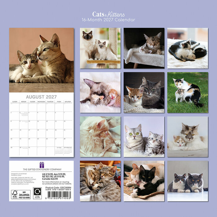 Calendrier Papier 2027 Chats Chatons