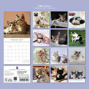Calendrier Papier 2027 Chats Chatons