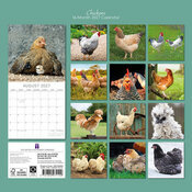 Calendrier 2027 Poules de nos Jardins Calendrier Papier 2027 Poules de nos Jardins