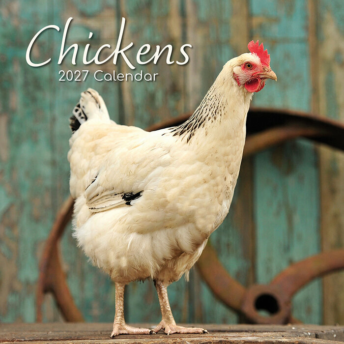 Calendrier 2027 Poules de nos Jardins Calendrier Mural 2027 Poules de nos Jardins