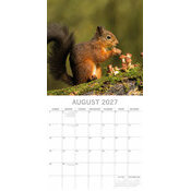 Calendrier  2027 Animaux de For�t et de Campagne