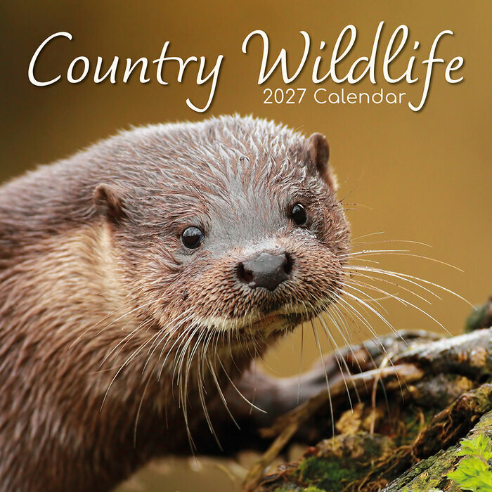 Calendrier Biches 2027 Animaux de For�t et de Campagne