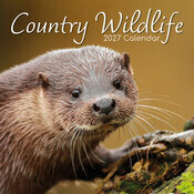 Calendrier Biches 2027 Animaux de For�t et de Campagne