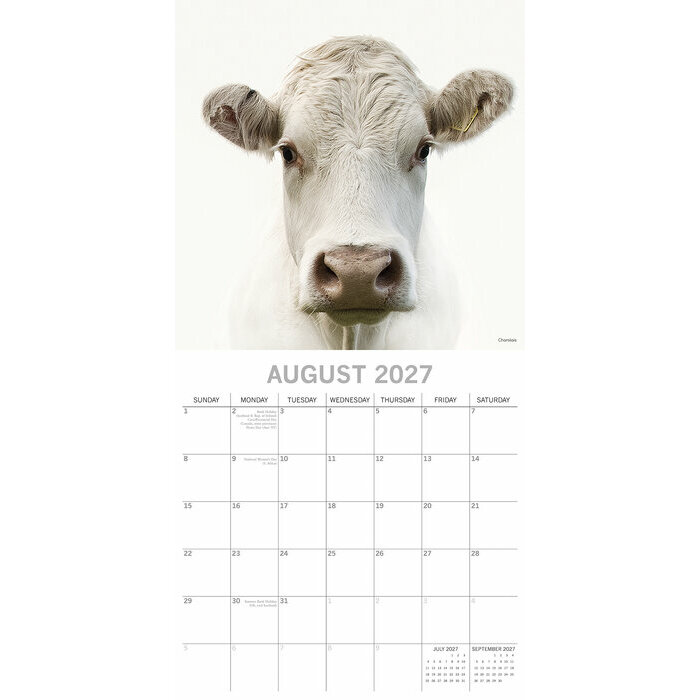 Calendrier 2027 Ferme et Vaches Calendrier 2027 Ferme et Vaches