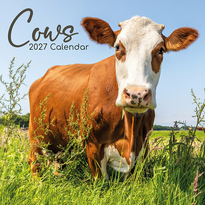 Calendrier 2027 Ferme et Vaches Calendrier Mural 2027 Ferme et Vaches