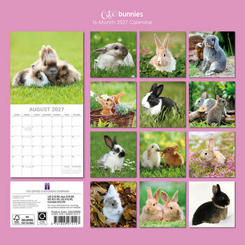 Calendrier 2027 Lapins Mignons et Campagne