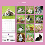 Calendrier 2027 Lapins Mignons et Campagne