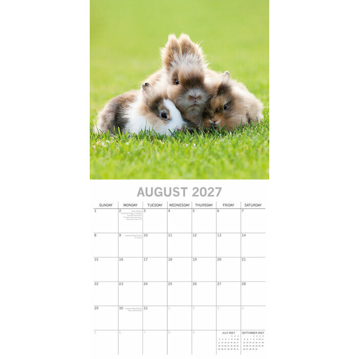 Calendrier papier 2027 Lapins Mignons et Campagne