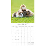Calendrier papier 2027 Lapins Mignons et Campagne