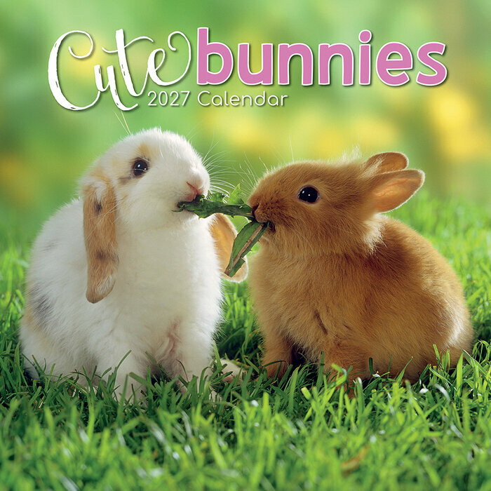 Calendrier Mural 2027 Lapins Mignons et Campagne