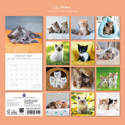 Calendrier 2027 Chatons Mignons Fond Blanc Calendrier 2027 Chatons Mignons Fond Blanc