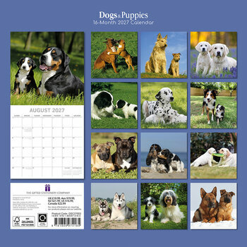 Calendrier 2027 Chiens et chiots