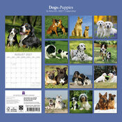 Calendrier 2027 Chiens et chiots Calendrier Papier 2027 Chiens et chiots Berger Blanc
