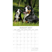 Calendrier 2027 Chiens et chiots Calendrier mural 2027 Chiens et chiots Berger Blanc