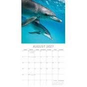 Calendrier 2027 Animaux Marins Dauphins Calendrier Papier 2027 Animaux Dauphins
