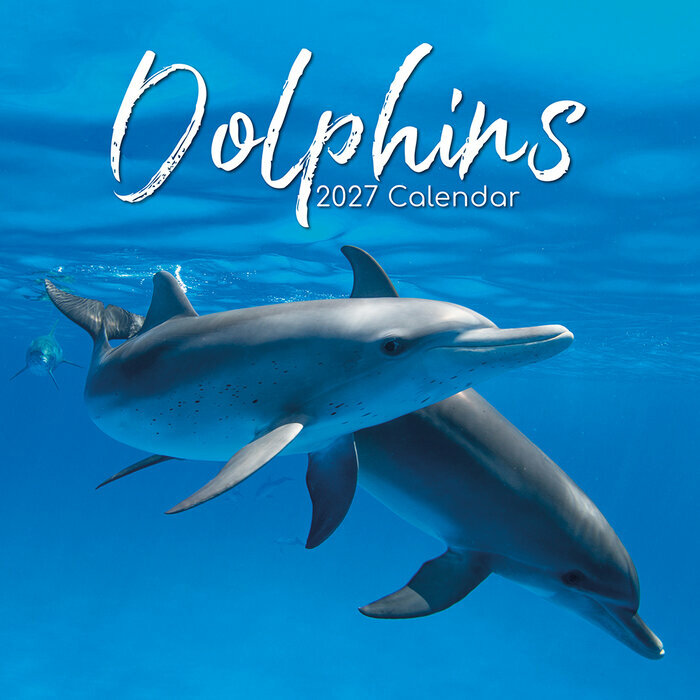 Calendrier 2027 Animaux Marins Dauphins Calendrier Mural 2027 Animaux Dauphins