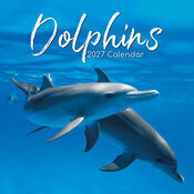Calendrier 2027 Animaux Marins Dauphins Calendrier Mural 2027 Animaux Dauphins