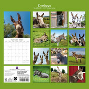 Calendrier 2027 �ne et Baudet