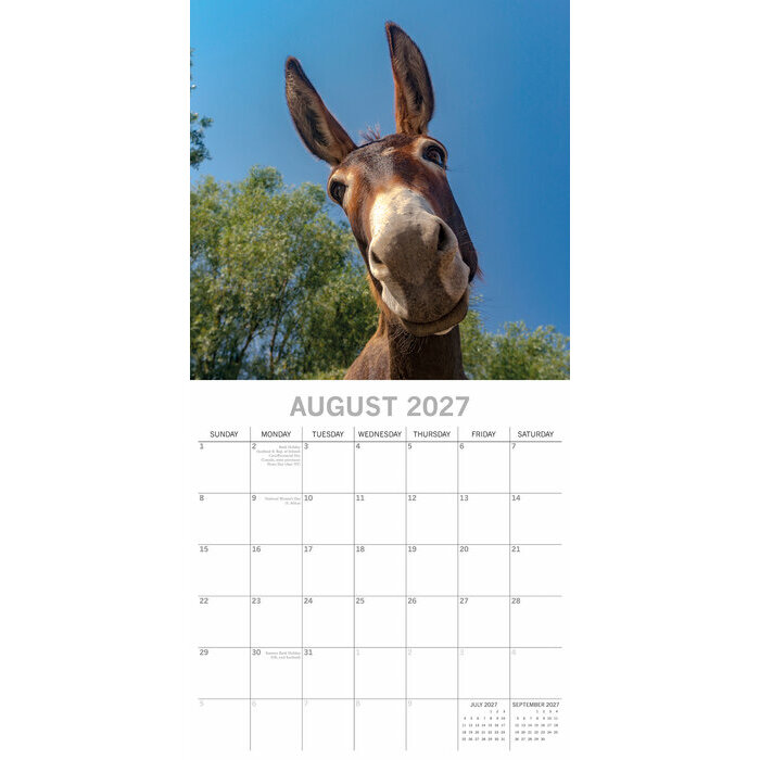 Calendrier Papier 2027 �ne et Baudet
