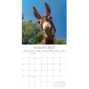 Calendrier Papier 2027 �ne et Baudet