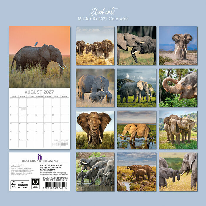 Calendrier 2027 El�phants Asie et Afrique