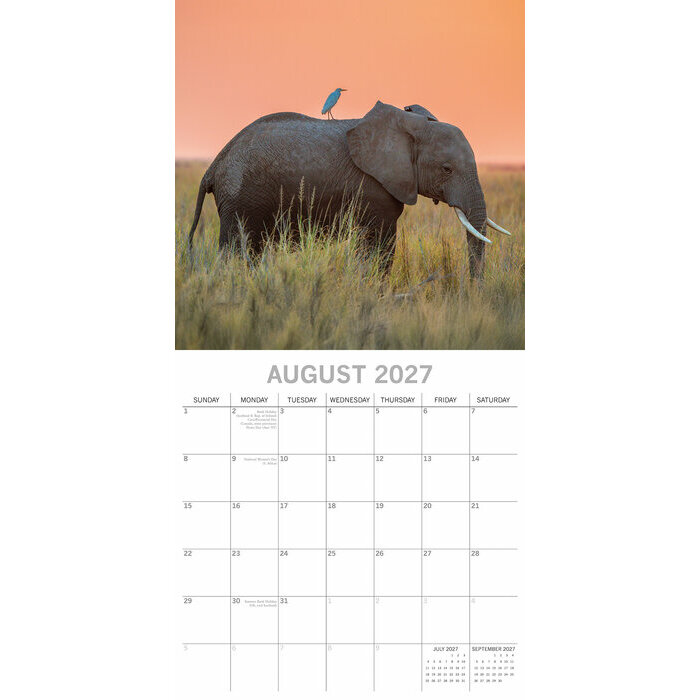 Calendrier Mural 2027 El�phants