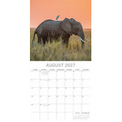 Calendrier Mural 2027 El�phants