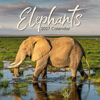 Calendrier 2027 El&eacute;phants Asie et Afrique