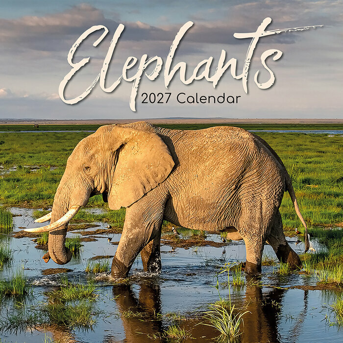 Calendrier Mural 2027 El�phants Asie et Afrique