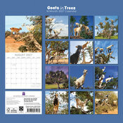 Calendrier 2027 Chèvres dans les arbres Calendrier 2027 Chèvres dans les arbres