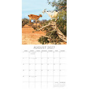 Calendrier 2027 Chèvres dans les arbres Calendrier papier 2027 Chèvres dans les arbres
