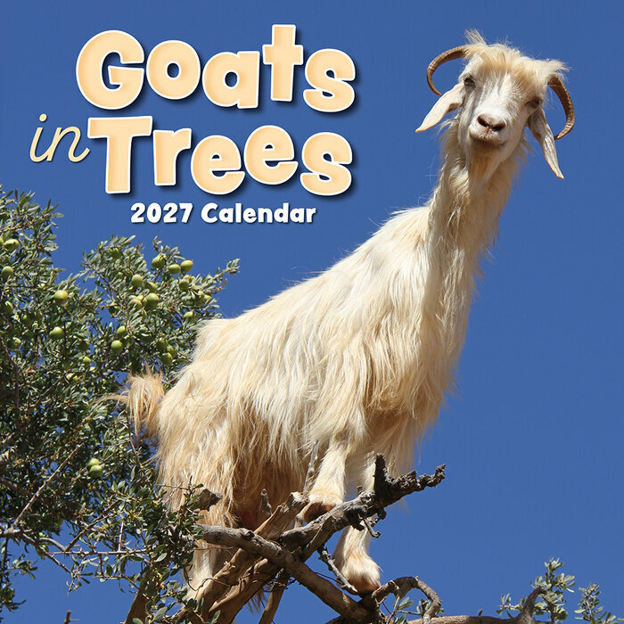 Calendrier 2027 Chèvres dans les arbres Calendrier Mural 2027 Chèvres dans les arbres