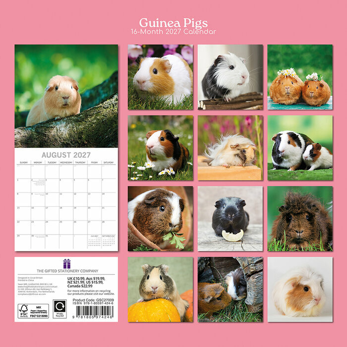 Calendrier 2027 Nacs Cochon d'Inde Calendrier Mural 2027 Nacs Cochon d'Inde